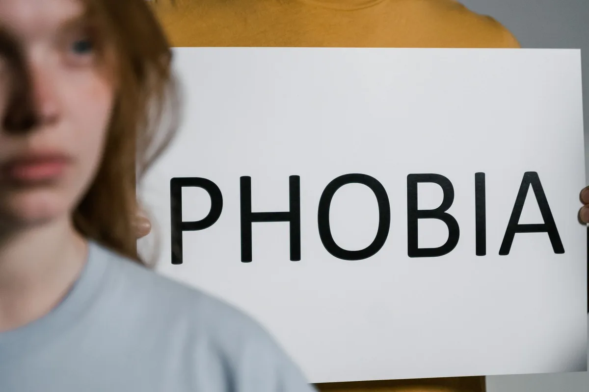 Chat montrant des signes de stress persistant : isolement et comportement anormal