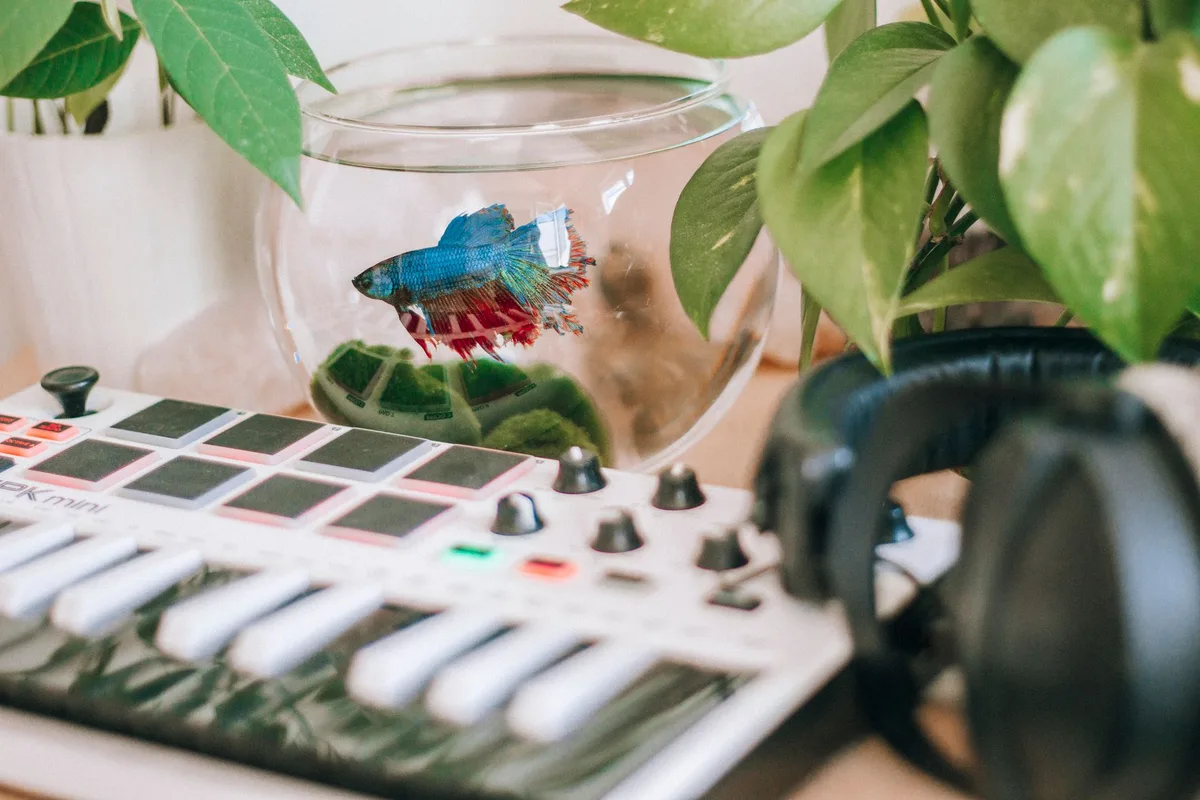 Kit aquarium complet avec meuble, filtre, chauffage et éclairage prêt à l'emploi