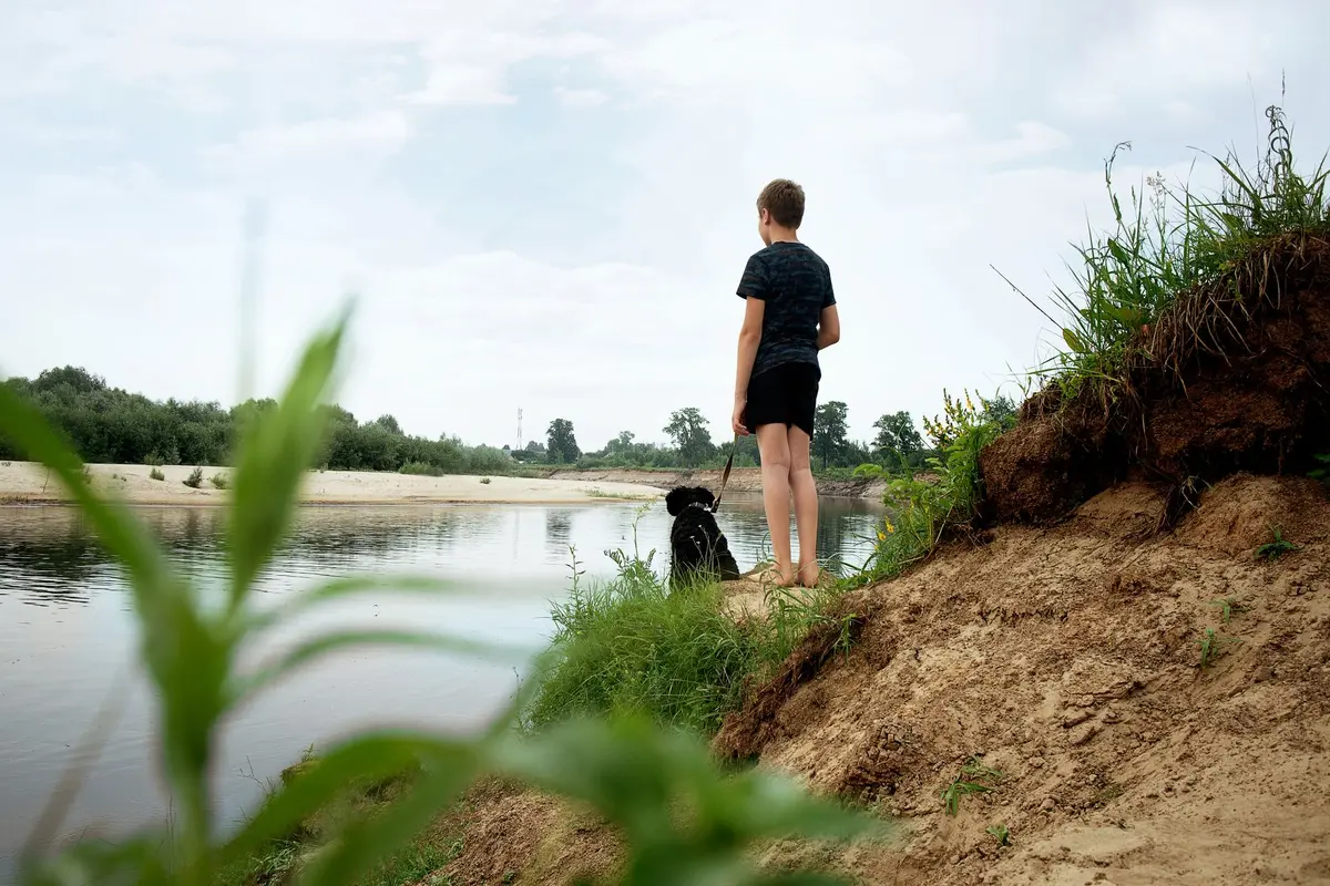 Chien en laisse marchant le long d'une berge aménagée avec vue sur l'eau et la verdure