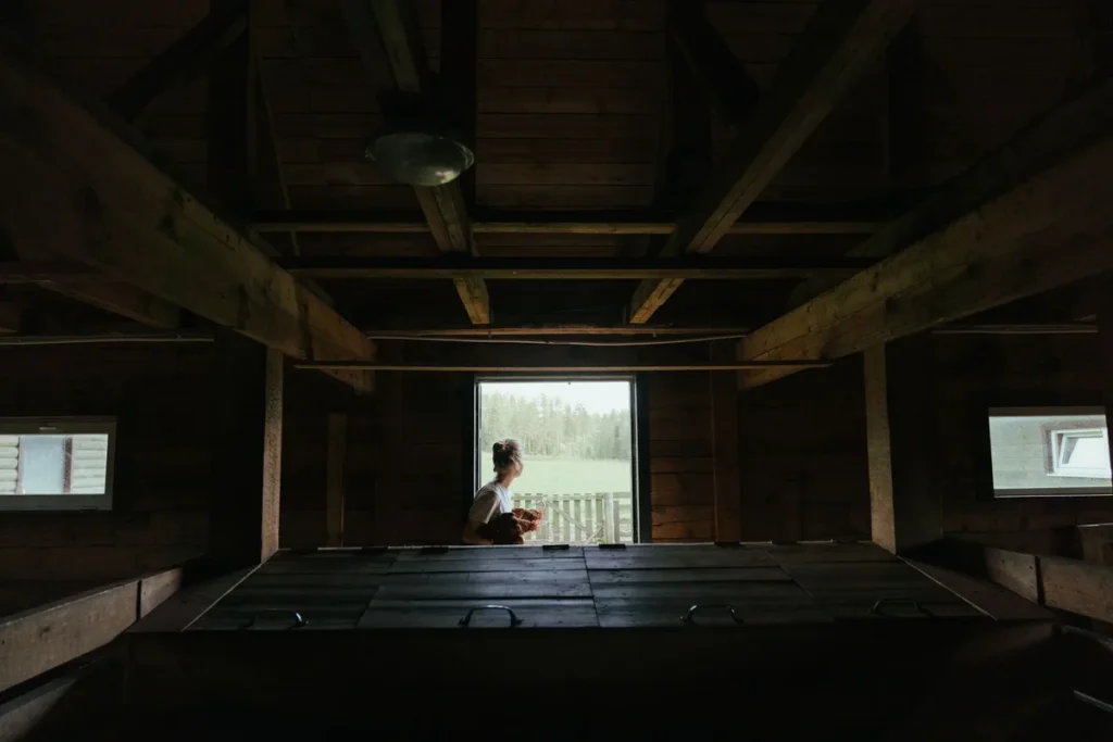 Intérieur d'un colombier avec perchoirs, nichoirs et lumière naturelle