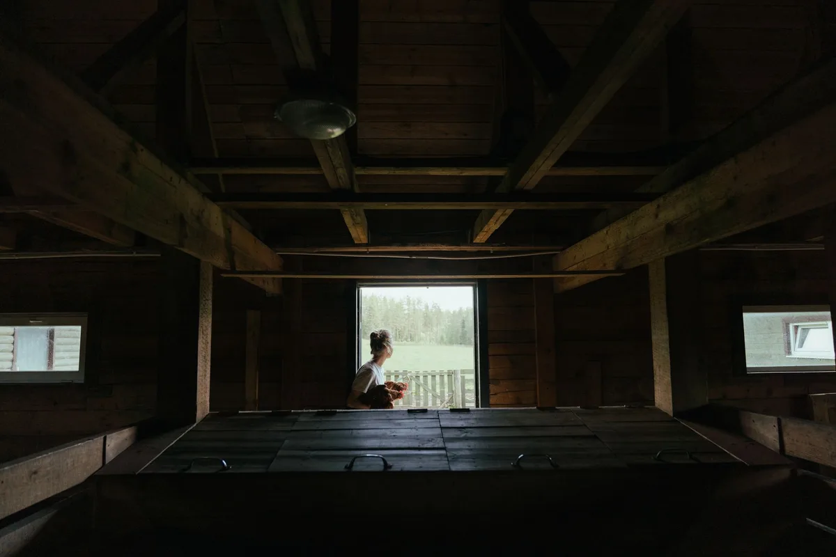 Intérieur d'un colombier avec perchoirs, nichoirs et lumière naturelle