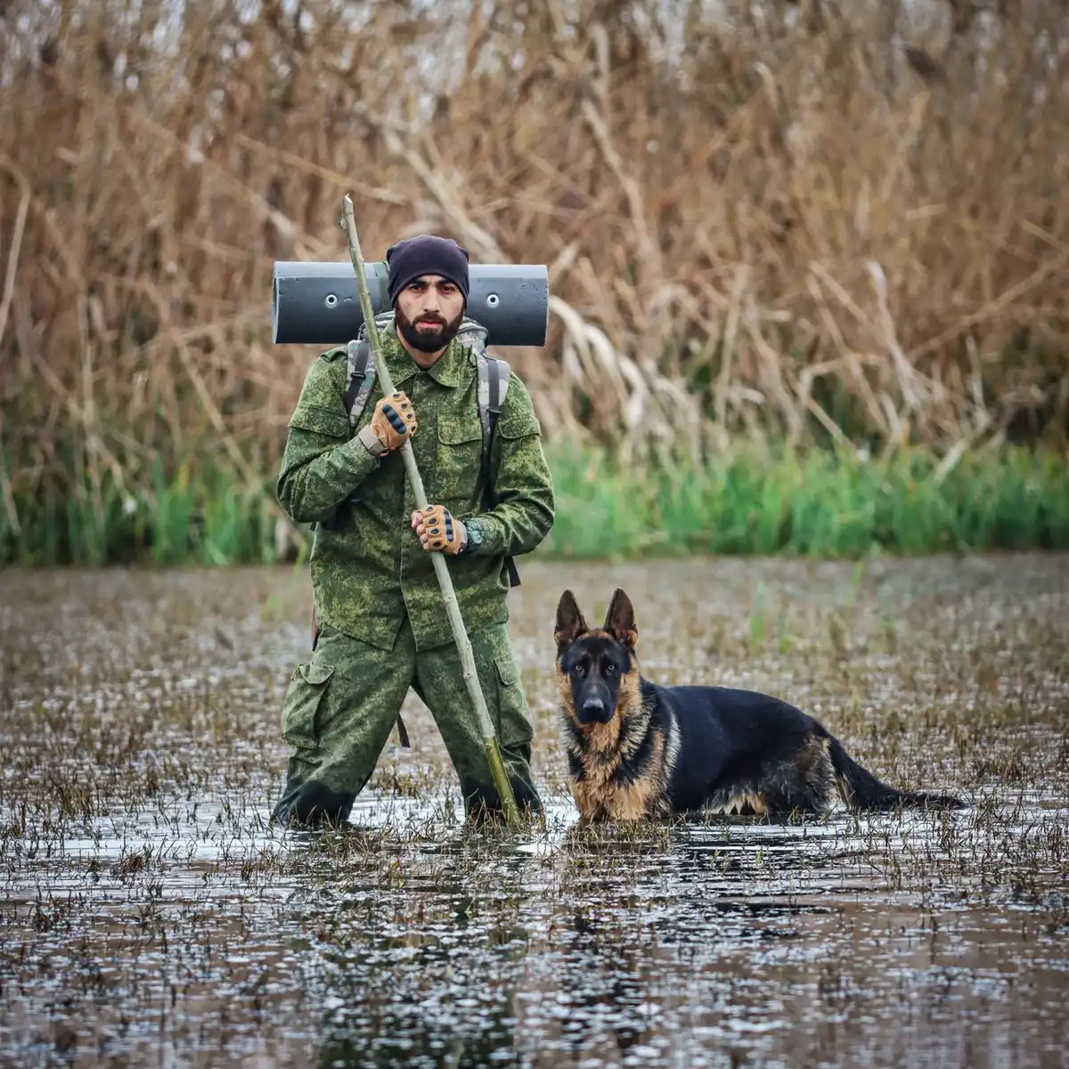 Équipement de sécurité incluant un traceur GPS pour chien
