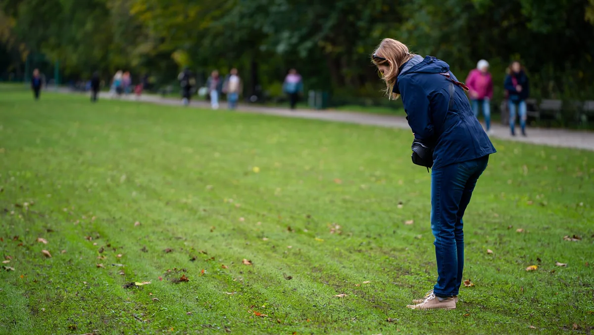 Que faire si votre chien part et disparaît pendant la balade ? — La première chose est de garder votre calme. Panique et mouvements désordonnés peuvent éloigner davantage le chien. Commencez par retourner systématiquement aux derniers points où il vous a