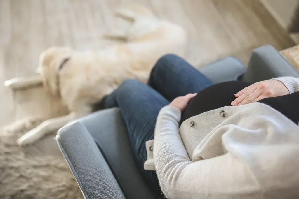 Propriétaire guidant son chien vers un jouet approprié dans un environnement domestique