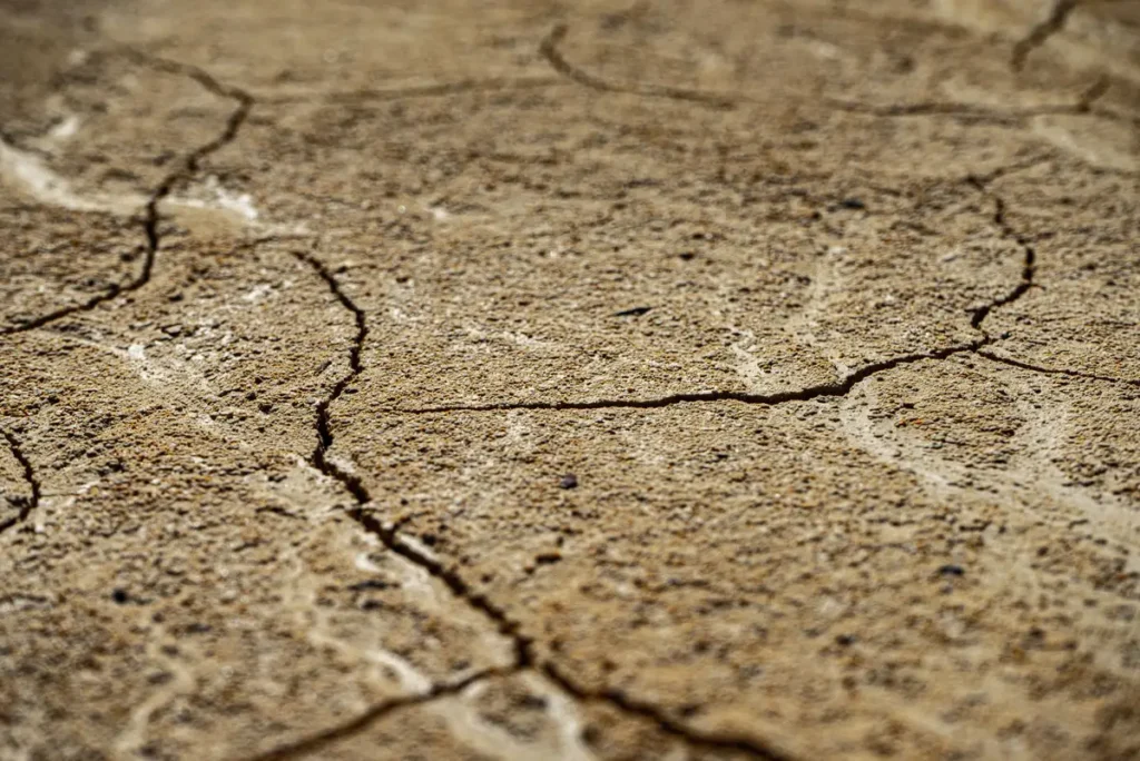Cave humide avec fissures dans le béton, cartons empilés et traces d'humidité sur les tuyaux