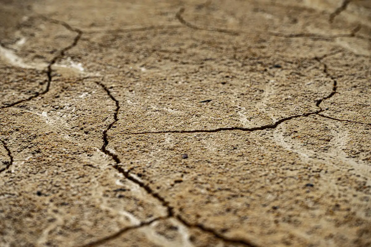Cave humide avec fissures dans le béton, cartons empilés et traces d'humidité sur les tuyaux