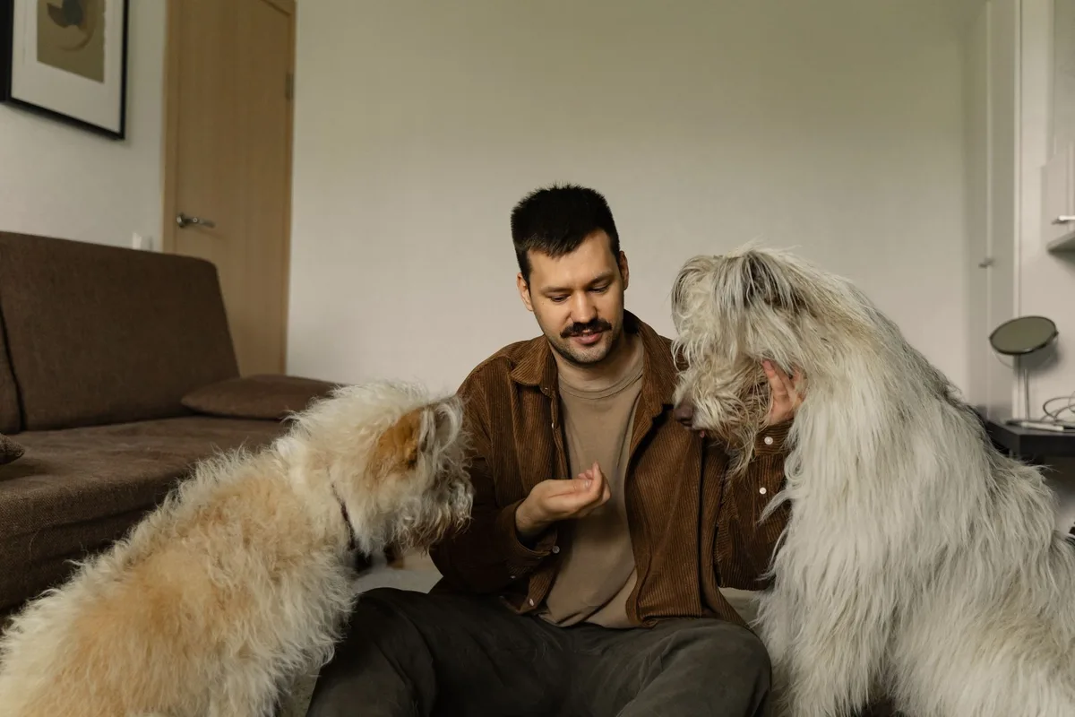Propriétaire et chien en interaction calme, dans une posture détendue et confiante