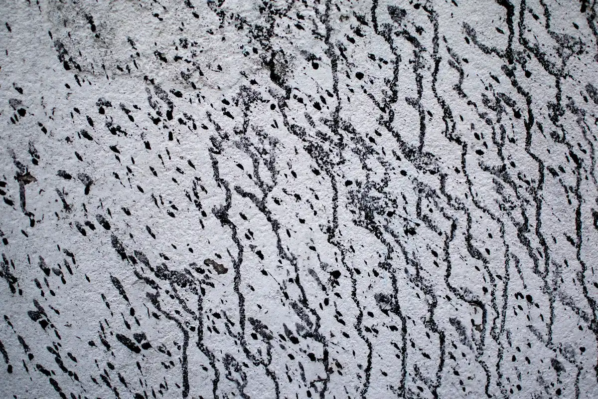 Traces sombres et luisantes le long d'une plinthe, caractéristiques des rub marks de rongeurs