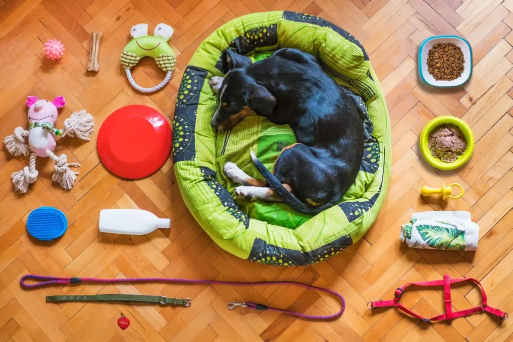 Chien mangeant dans un bol à labyrinthe avec des croquettes dispersées