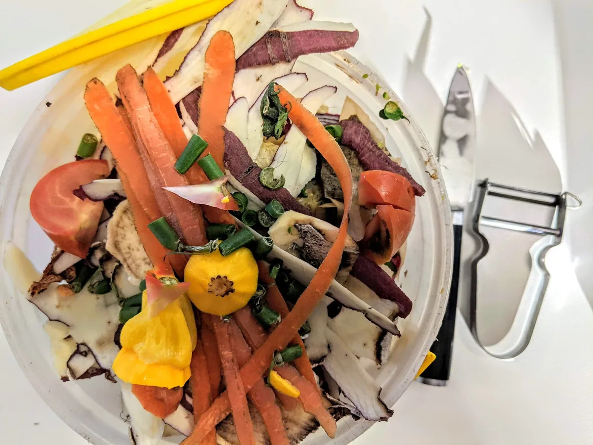 Bac à compost ouvert montrant des déchets alimentaires odorants accumulés