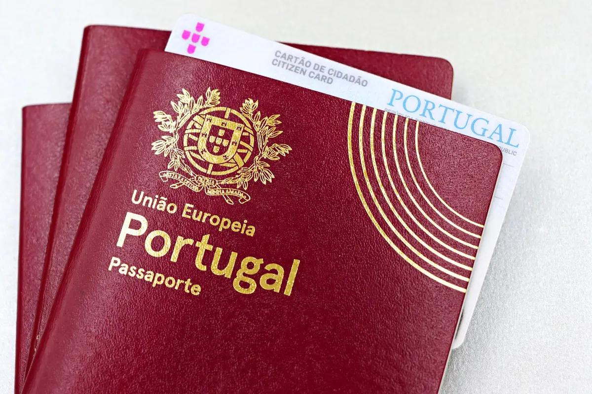Documents de voyage pour chien : passeport animalier, carnet de santé et pièces d'identification.