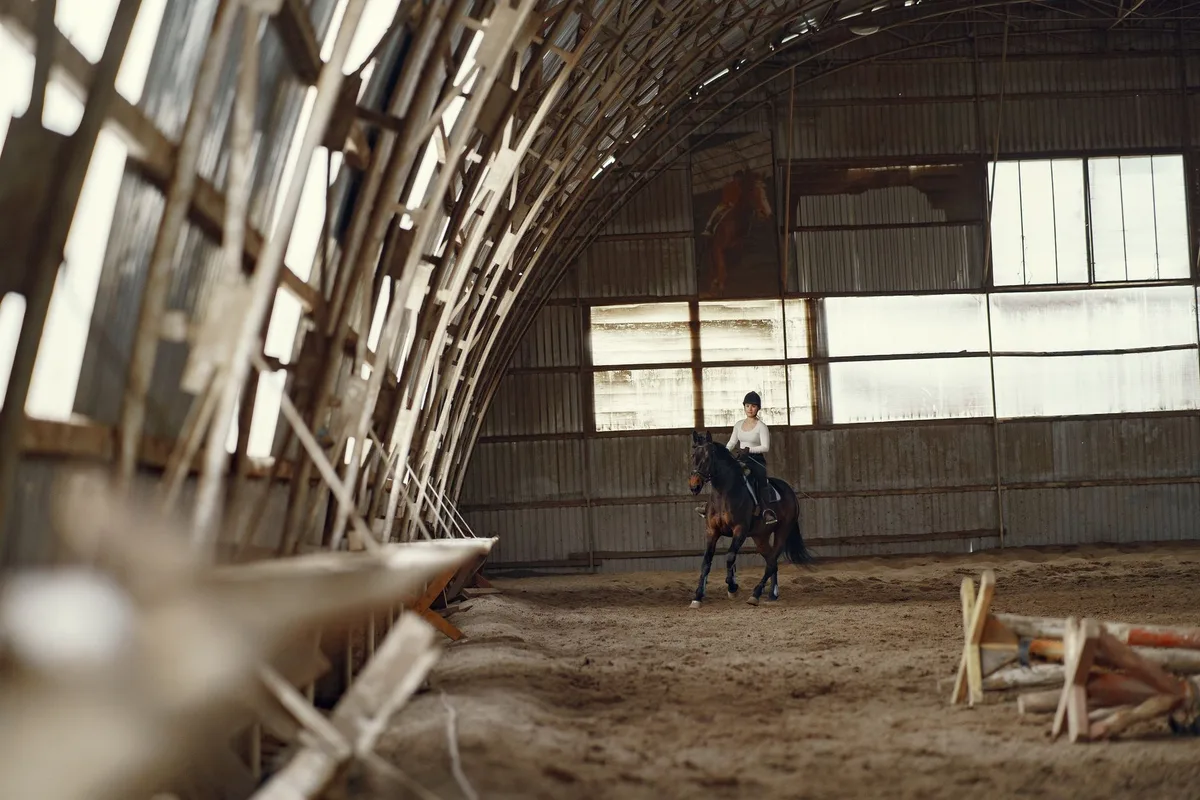 Cavalier effectuant une reprise de dressage avec son cheval dans une arène olympique