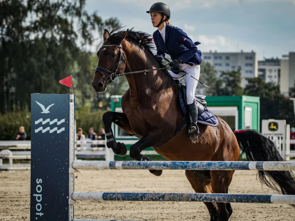 Cavalier à cheval franchissant un obstacle de cross-country lors d'une épreuve de concours complet