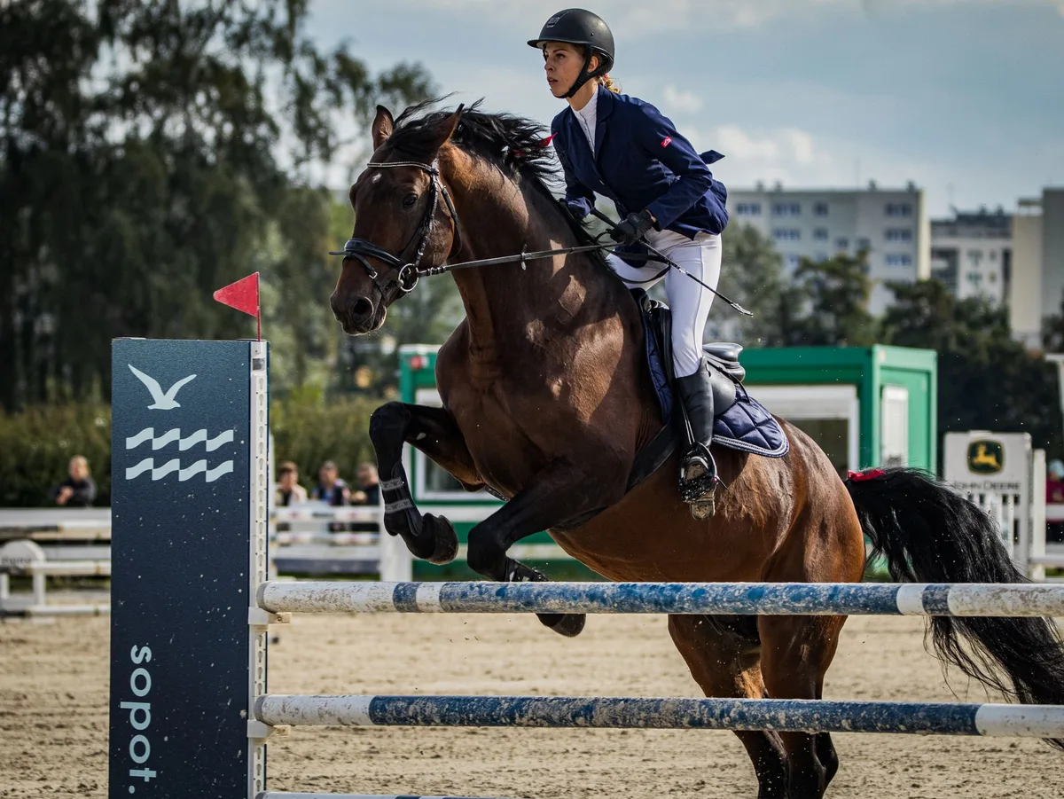 Cavalier à cheval franchissant un obstacle de cross-country lors d'une épreuve de concours complet
