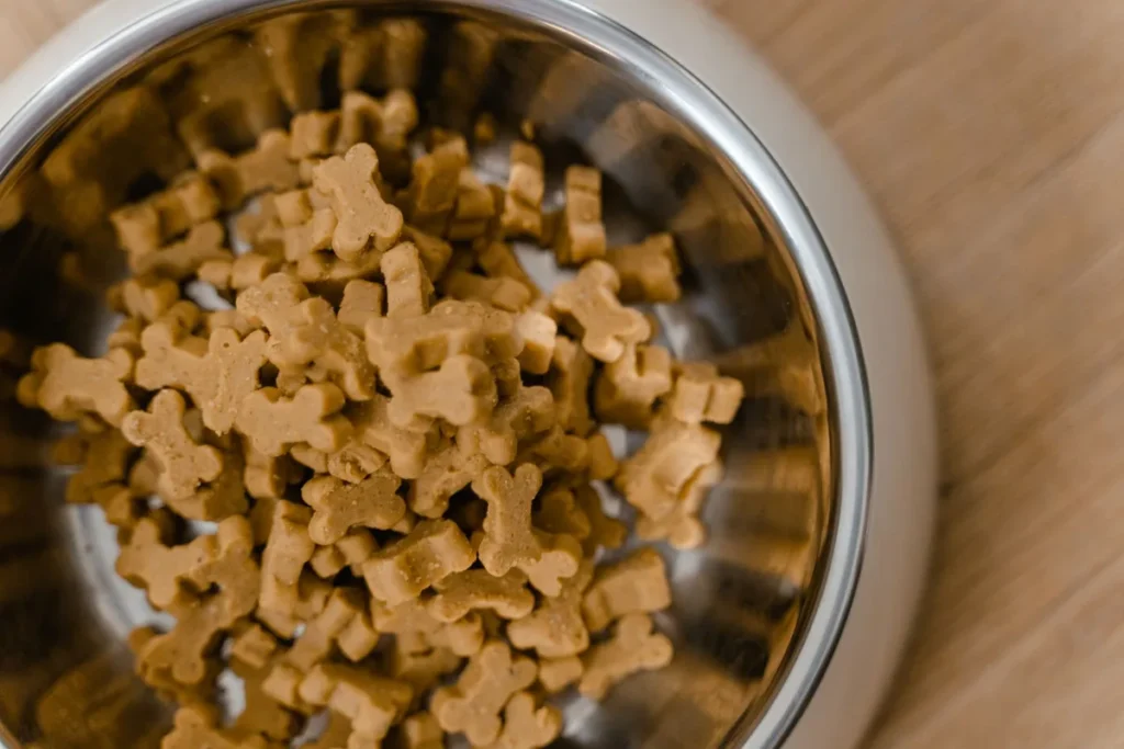 Bol de nourriture pour chien avec des portions mesurées et des légumes frais sur un plan de travail