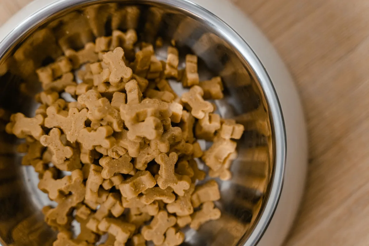 Bol de nourriture pour chien avec des portions mesurées et des légumes frais sur un plan de travail