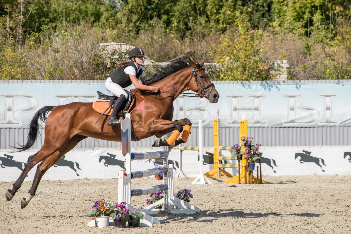 Cavalier franchissant un dispositif ludique dans un parcours d'Equifun