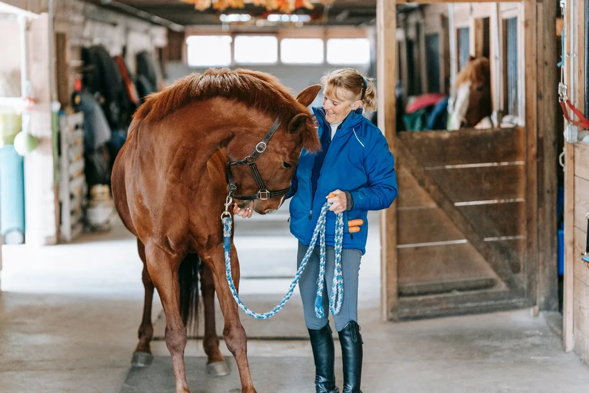Cavalier et cheval travaillant ensemble dans une activité ludique