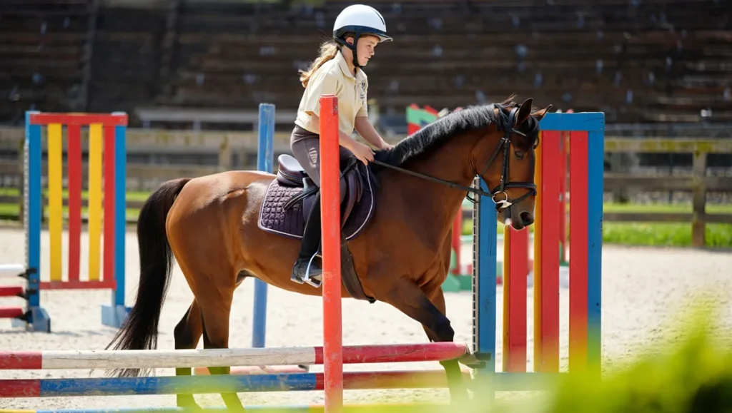 Equifun : exercices ludiques pour progresser à cheval, du débutant au confirmé