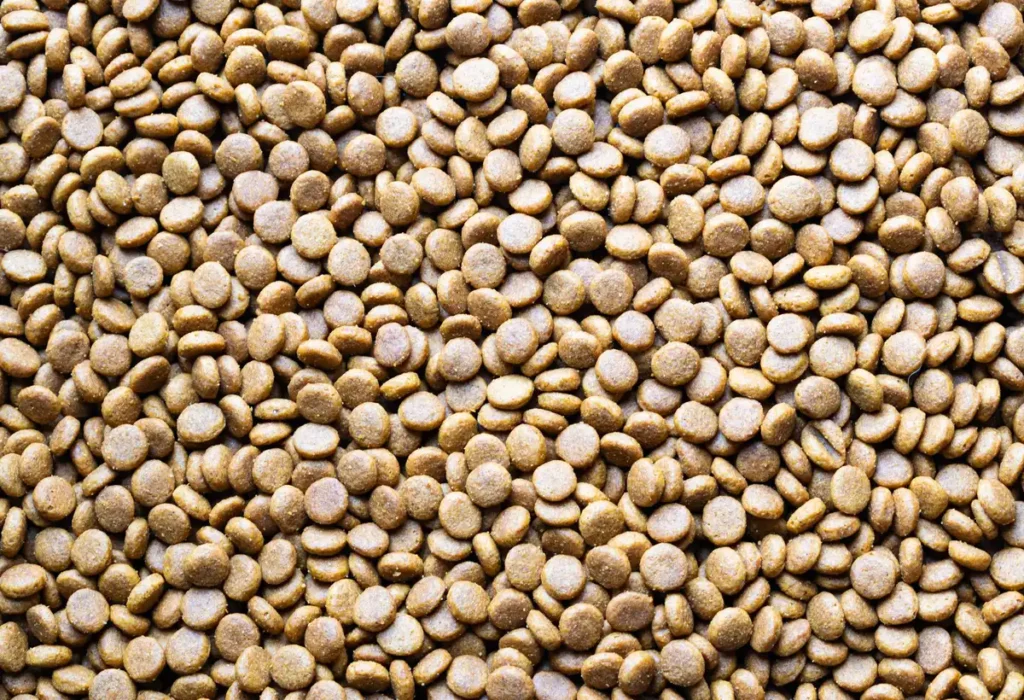 Chaîne de production industrielle de croquettes avec équipements d'extrusion et contrôle qualité
