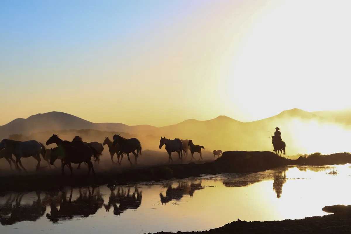 Cavalier en silhouette galopant dans un paysage fantastique sur un cheval, terrain luxuriant et ciel lumineux