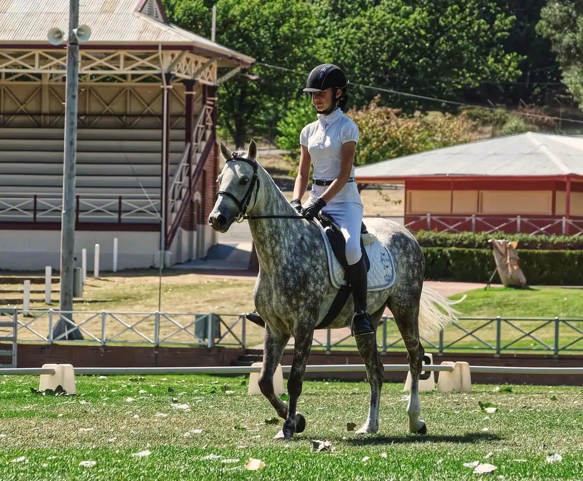Participant exécutant une reprise de dressage avec son cheval-bâton devant des juges