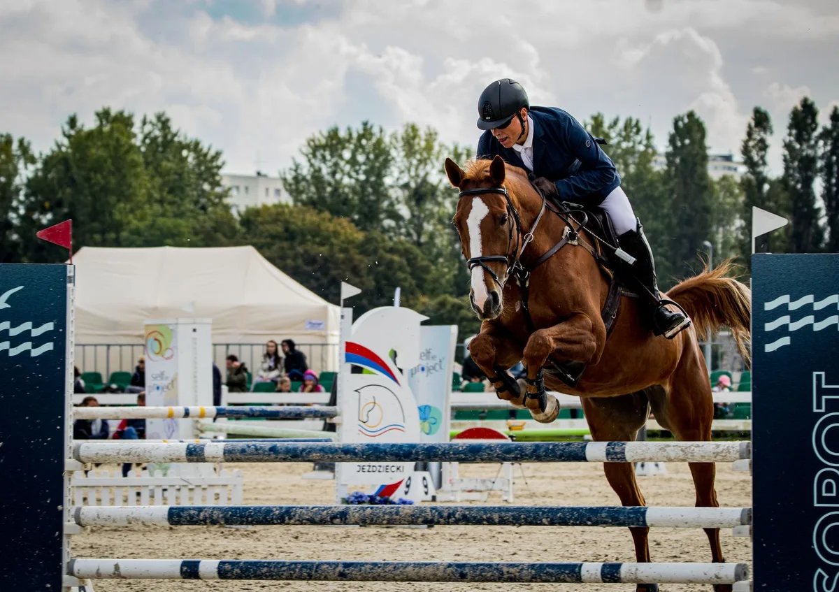 Cavalier et cheval en entraînement sur une combinaison d'obstacles