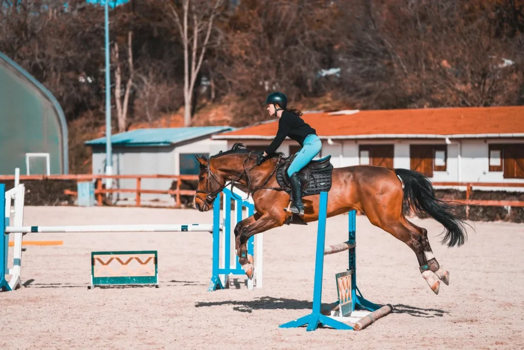 Cavalier franchissant un obstacle technique dans une arène de compétition