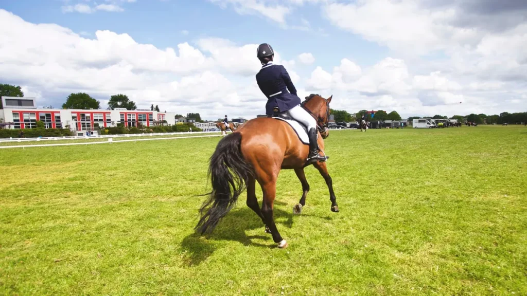 Cavalier en tenue de compétition exécutant une reprise de dressage dans une arène olympique