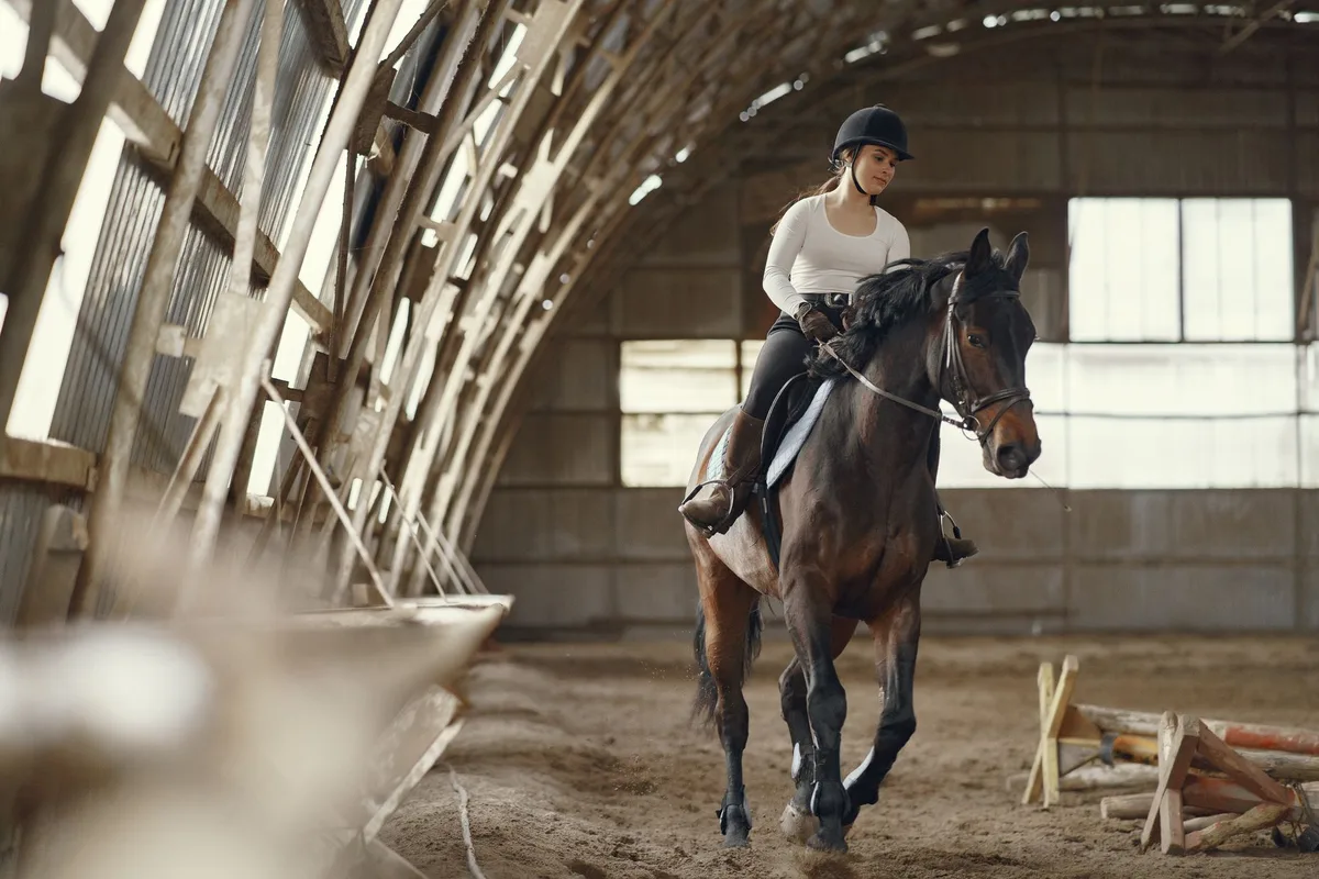 Cavalier et cheval franchissant un obstacle lors d'un entraînement en carrière