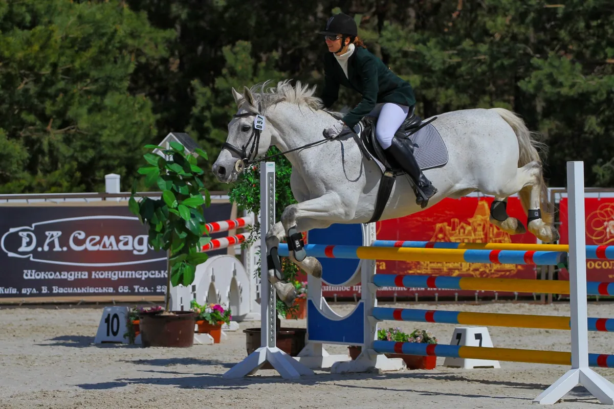 Cavalier et poney franchissant une combinaison d'obstacles en compétition