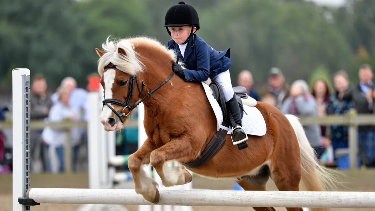Série E et As Poney — La série E est ouverte sans limite d’âge pour le cavalier : E2 90 cm, E1 100 cm, E élite 110 cm (tolérance de 1 cm pour poneys ferrés). Les As Poney représentent le niveau