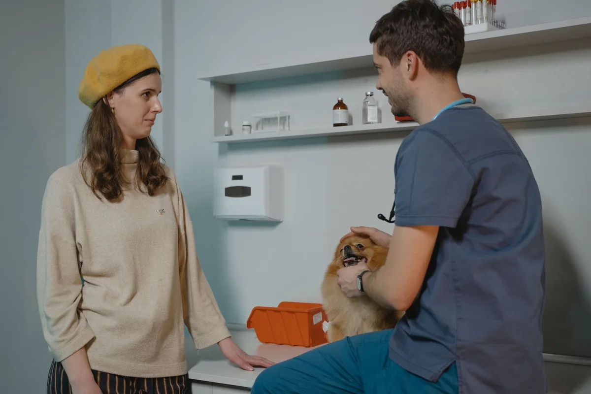 Propriétaire et chien dans une clinique vétérinaire, moment calme et rassurant