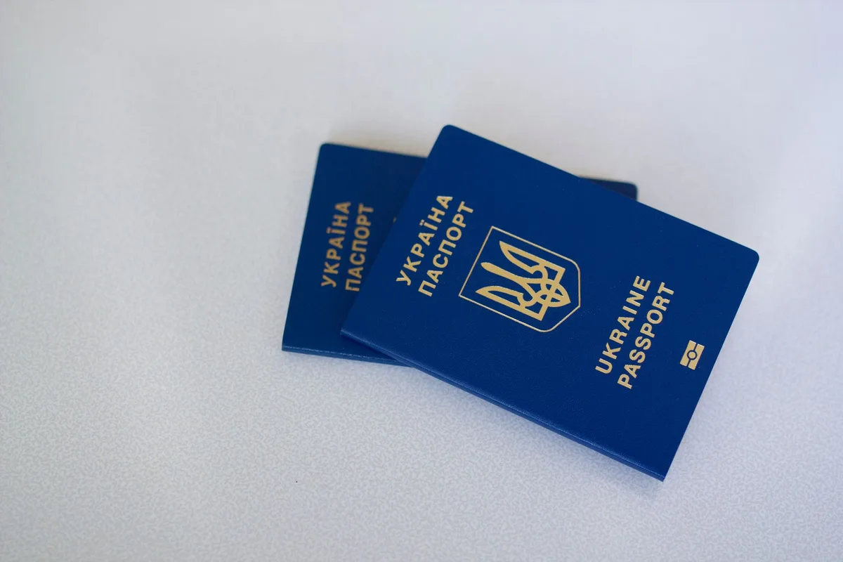 Passeport équin et documents d'identification sur un bureau