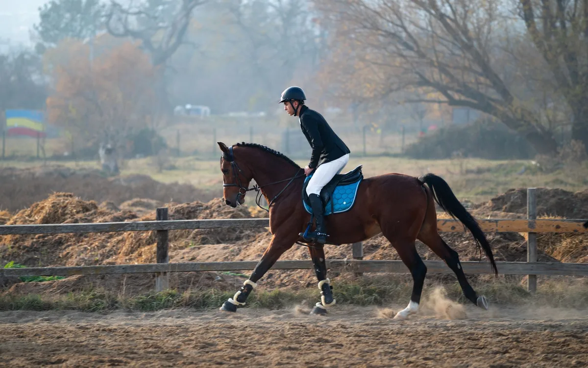 Un cavalier échauffant son cheval au trot sur un terrain extérieur avant une séance d'entraînement.
