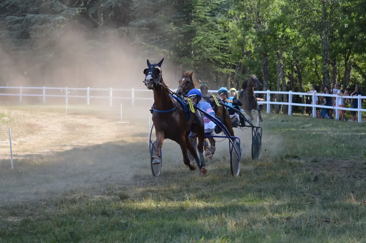 Un cheval et cavalier au trot continu sur un terrain varié, illustrant une séance de remise en forme.