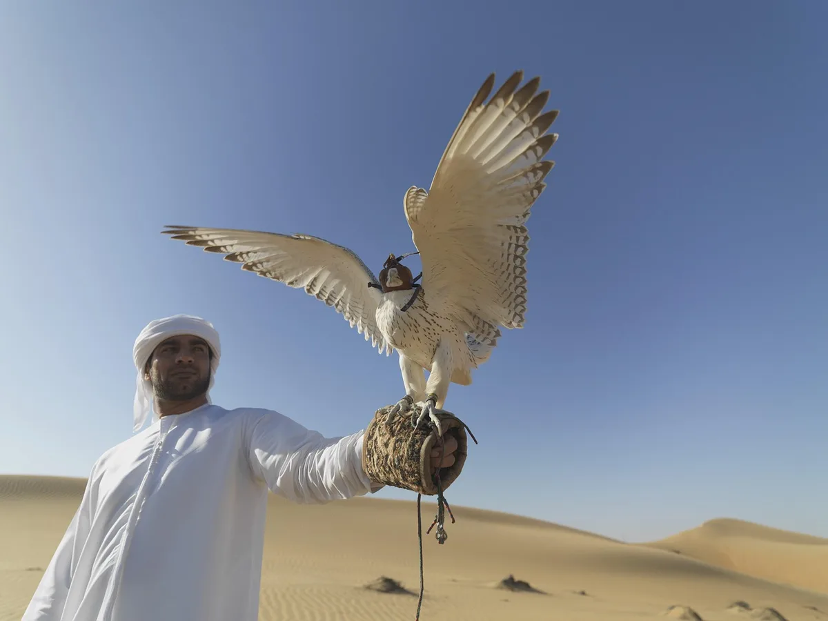 Séance d'entraînement d'un oiseau avec clicker et récompenses