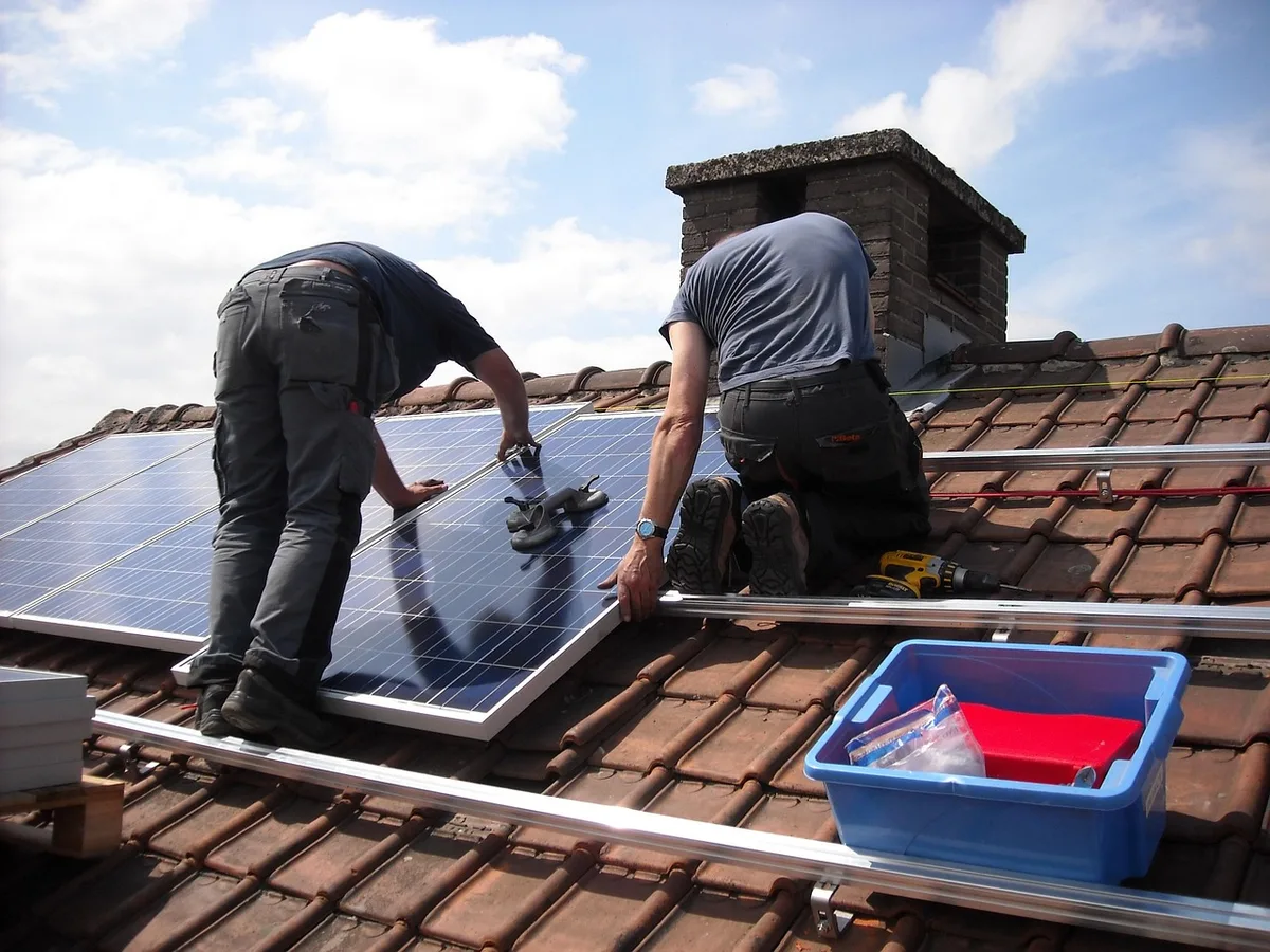 Plusieurs pièges alignés parallèlement à une plinthe sous une fenêtre