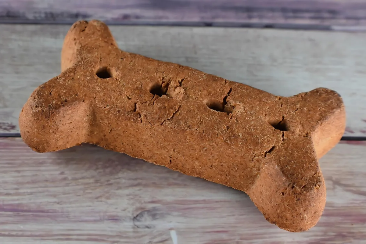 Différentes friandises et jouets posés sur une surface pour motiver l'apprentissage du chien