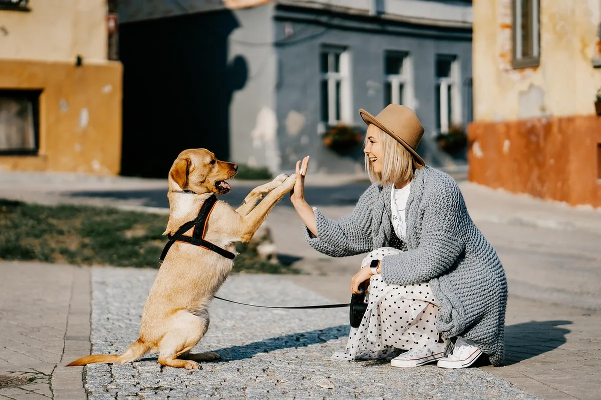 Propriétaire récompensant un chiot à l'extérieur avec une friandise