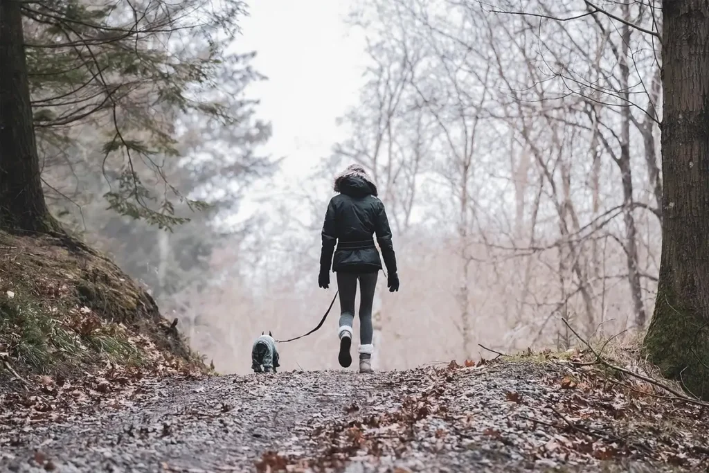 Entraînement au rappel : maître et chien en laisse dans un environnement ouvert