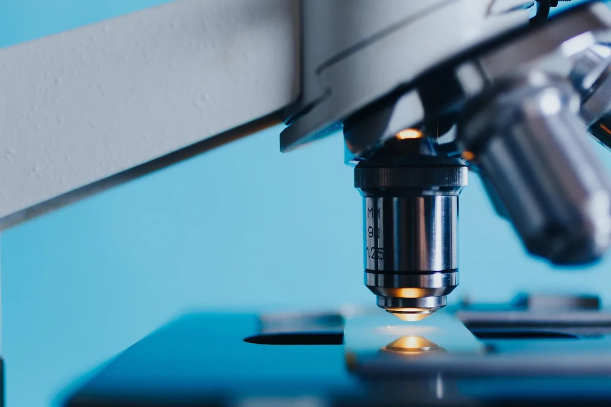 Résultats d'analyse en œufs par gramme affichés sur un rapport de laboratoire