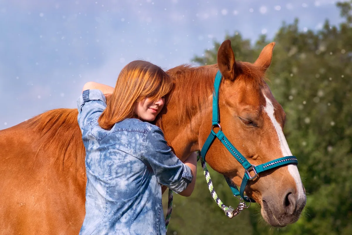 Un cavalier observe attentivement son cheval dans un environnement calme