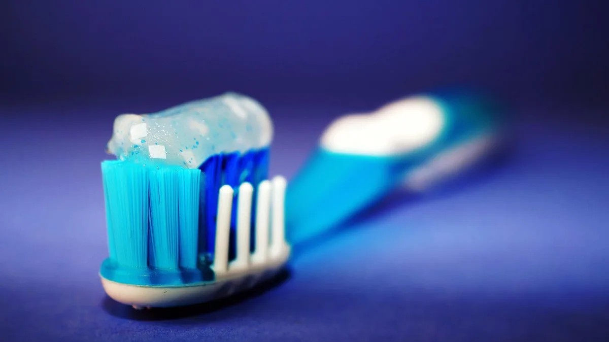 Main avec brosse et carnet montrant une mini‑routine de soins pour cheval