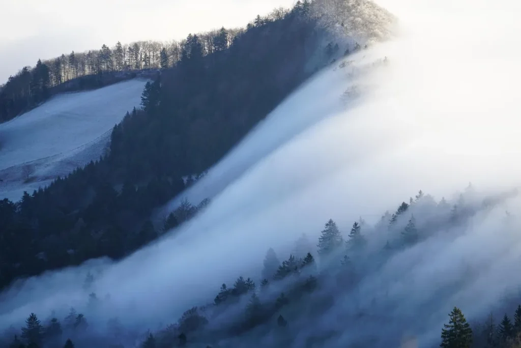 Cheval de race Franches-Montagnes dans un paysage montagneux du Jura suisse