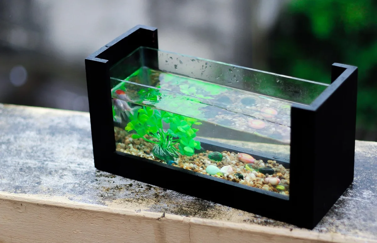 Pince longue et outils d'aquascaping posés près d'un aquarium planté