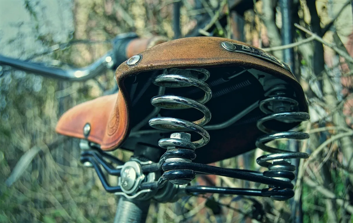 Contrôle d'une selle posée sur le dos d'un cheval sans marques visibles