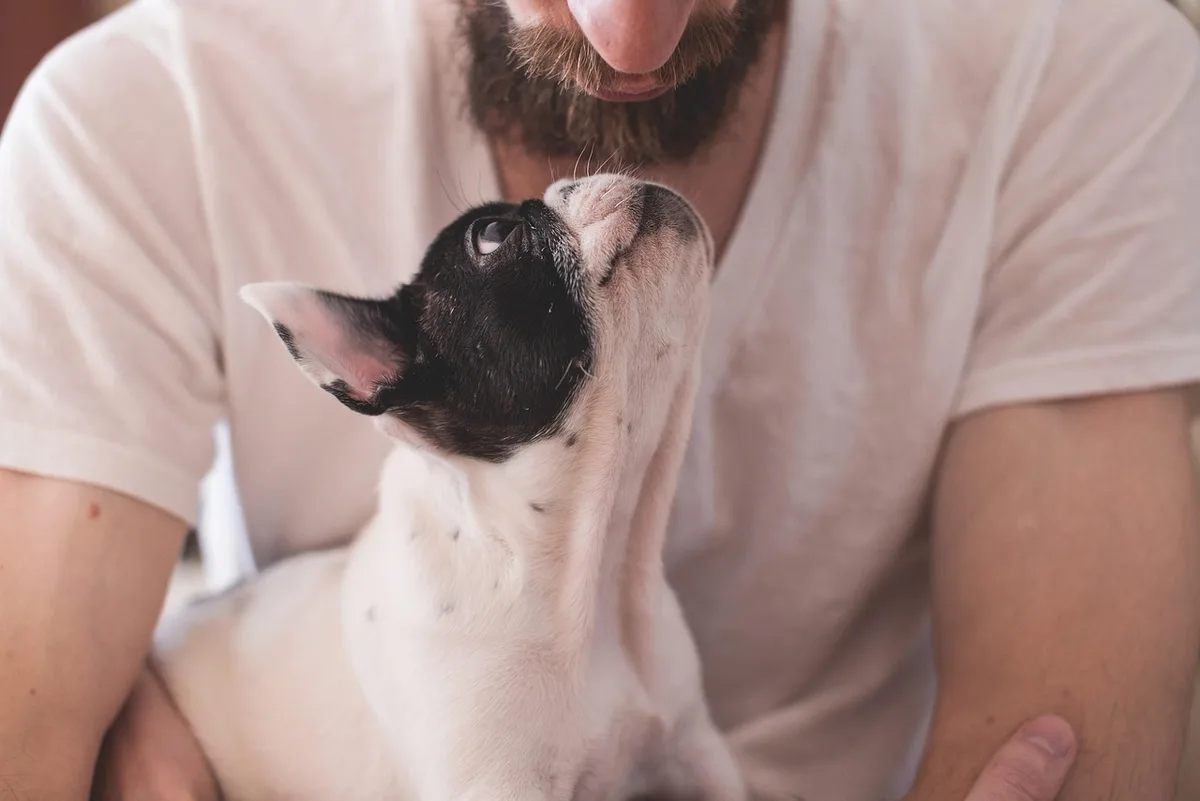 Propriétaire entraînant un chien en longe dans un parc pour augmenter les distractions
