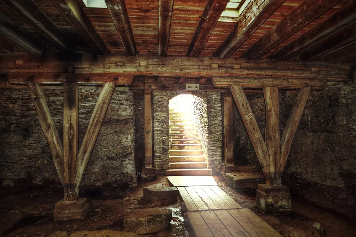 Cave d'immeuble encombrée avec cartons et objets stockés attirant les rongeurs