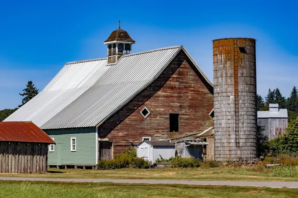 Intérieur de ferme en plein jour, main inspectant une carte près d'un silo